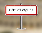 Diagnostiqueur Bort les Orgues